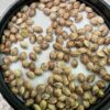 Wagyu Seeds
